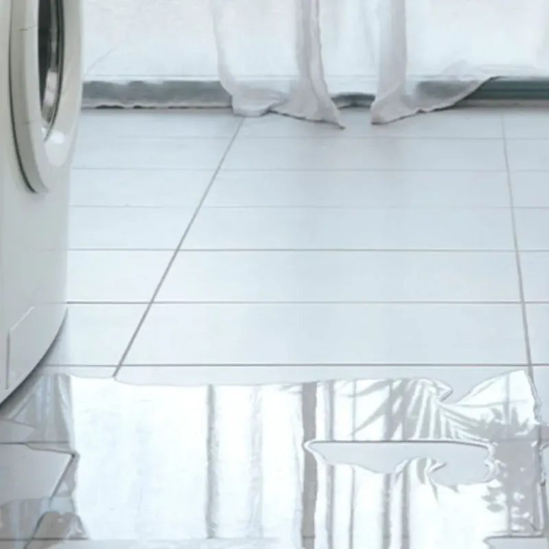 Appliance Leak Cleanup in Fremont, MI