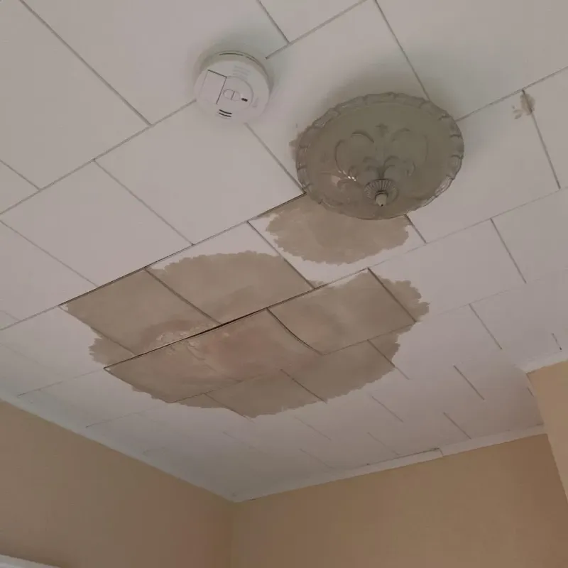 Ceiling Water Damage Repair in Fremont, MI