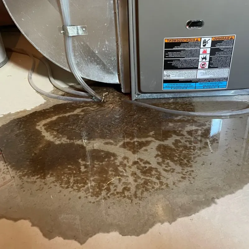 Pipe Burst and Leak Restoration in Fremont, MI