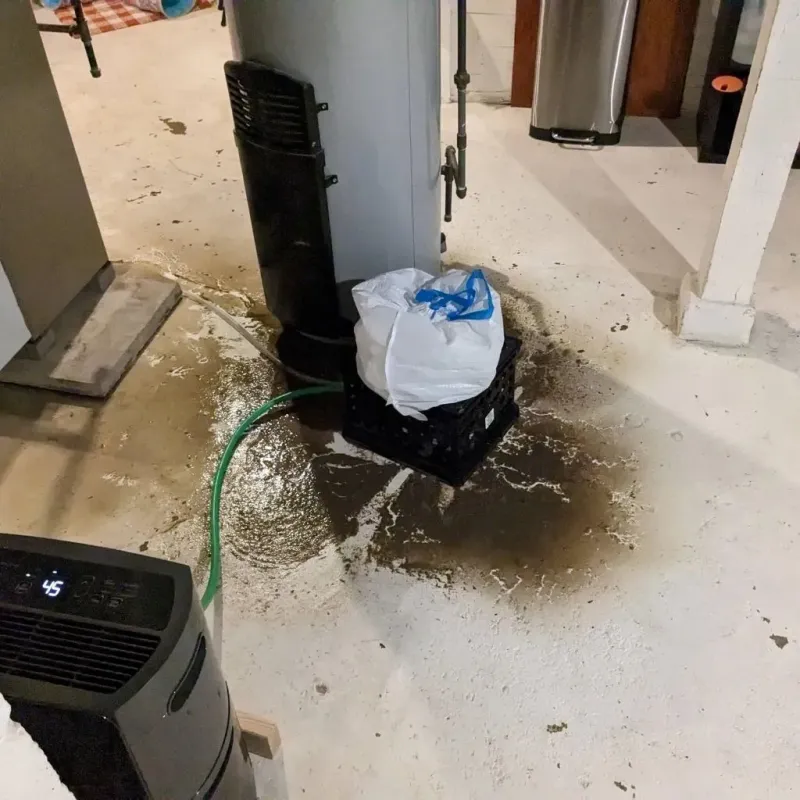 Sewage Backup Cleanup Service in Fremont, MI